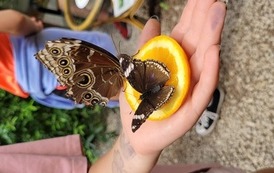 W drodze z Kulturą 46